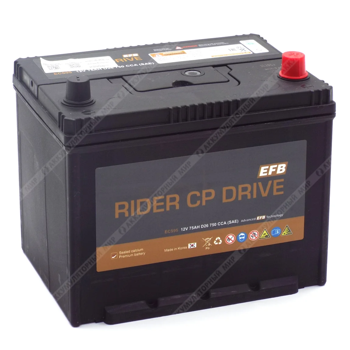 Аккумулятор RIDER EFB ECS95 Asia 75 Ач о.п. Фото 1