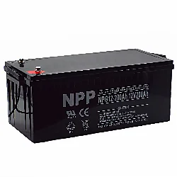 NPP NPG 12-200 GEL Аккумулятор (тяговый) Фото 1
