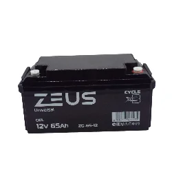 Аккумулятор ZEUS ZG-65-12 GEL (12V65Ah) универсальный Фото 1