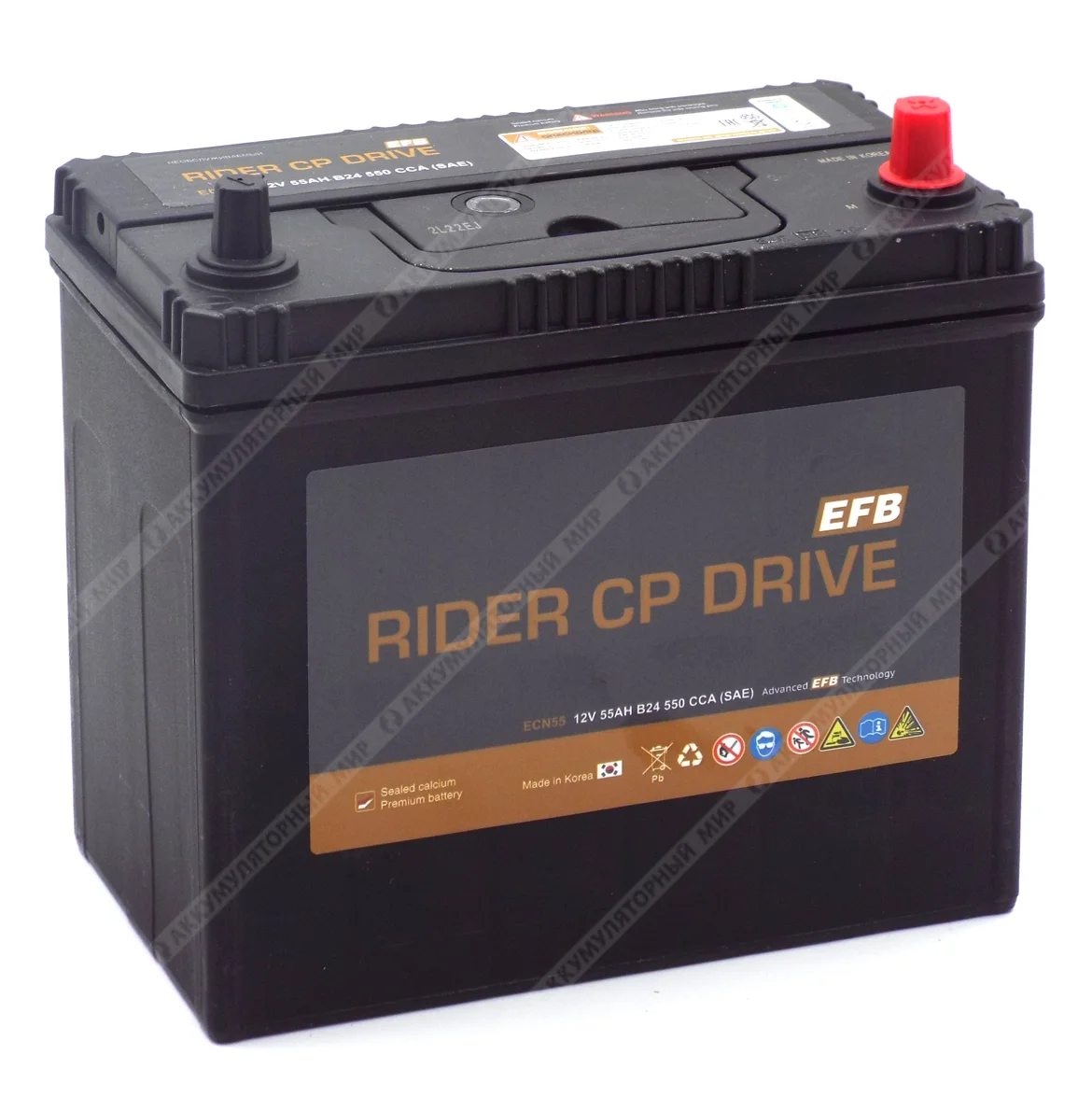 Аккумулятор RIDER EFB ECN55 Asia 55 Ач о.п. Фото 1