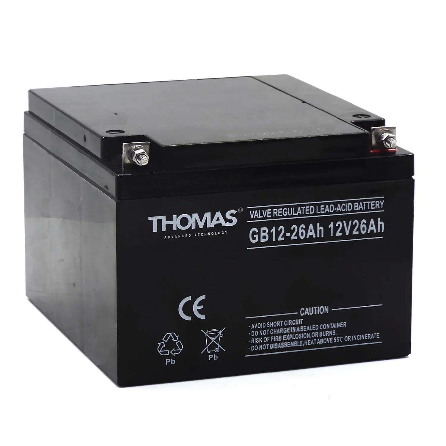 Аккумулятор THOMAS GB 12-26 (для слаботочных систем) РАСПРОДАЖА Фото 1